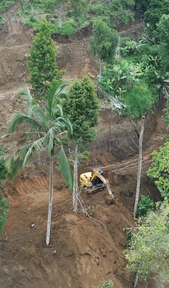 Sankara Buahan Payangan